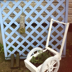 週末またホムセンです/小手鞠も花壇に植えた/星空マム/ペチュニア/花を寄せ植えしました/プランター/... 昨日作った手押し車型プランターにお花植え…(2枚目)