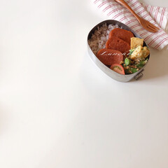 のっけ弁/lunchbox/時短レシピ/おべんとう/お弁当/お弁当おかず/... Today’s lunchbox 
ラン…(1枚目)
