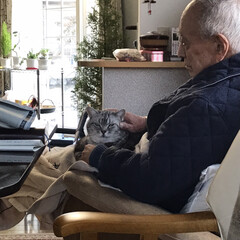 猫ベット/猫好き大歓迎/フォロー大歓迎 午後やっと大好きなおじいちゃんの膝の上💕(1枚目)