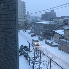 冬/フォロー大歓迎 窓の外は一階の屋根です。
北海道は瓦屋根…(2枚目)