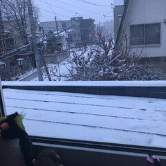 冬/フォロー大歓迎 窓の外は一階の屋根です。
北海道は瓦屋根…(1枚目)