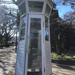 電話ボックス/旅行/風景/はじめてフォト投稿 かわいい電話ボックス
@横浜(1枚目)