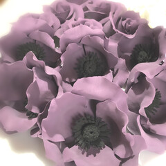 粘土細工/クレイクラフト/クレイフラワー/雑貨/ハンドメイド 紫 咲きました



マスク 😷   後…(2枚目)
