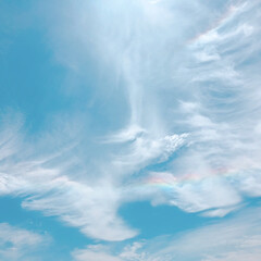 美しい風景/良い天気/虹雲/虹/令和の一枚/風景/... 出かけ先で撮影した1枚。
太陽が雲に反射…(1枚目)