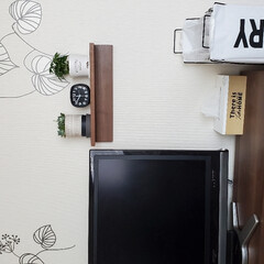 DAISO/観葉植物置く場所/テレビ周り/リビングインテリア/雑貨/生活雑貨/... 無印のアイテムを使って観葉植物と時計の置…(1枚目)
