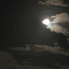 満月/中秋の名月 中秋の名月　撮れた？

雲　あったけど……(2枚目)