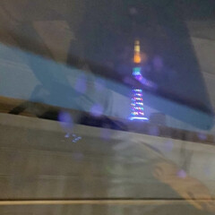 東京タワー/リラックス/ホーランドロップ/お嬢/家族 昨夜　稲光ピカピカの中　車で移動。

お…(2枚目)