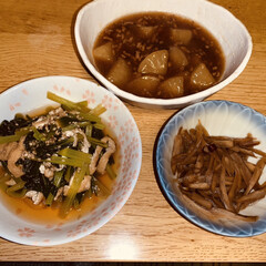 ごま油/砂糖/顆粒だし/片栗粉/鷹の爪/いりごま/... 本日の夕飯
ごぼうのきんぴら。
ごぼう…