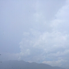 今日の空/雨雲/スコール/天気 今日の空。
急に雲行きが怪しくなり
スコ…(1枚目)