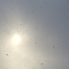 今日の空/鈍色の空/雪/太陽/天気 今日の空。
ゆっくり舞い落ちる雪。
空は…(1枚目)