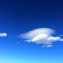 今日の空/雲/空/青い/景色 今日の空。
雲がキレイだったので。
空の…(1枚目)