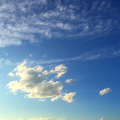 今日の空/雲/太陽/天気 今日の空。
雲の影がかわいらしい。
太陽…(1枚目)
