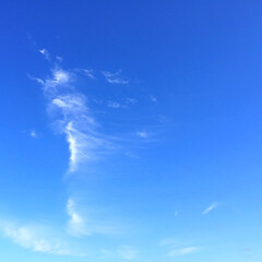 空/夏の空/雲/気温が低い/北海道 空に立ち上るように見える雲。
青空に映え…(1枚目)