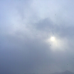 今日の空/雲/太陽/雪/晴れ/吹雪き/... 今日の空。
雲に覆われた太陽。
その中を…(1枚目)