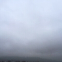 今日の空/雨/色のない空/台風/天気 今日の空。
台風の影響で、朝からずっと雨…(1枚目)