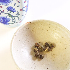 中国茶/お土産/名前がわからない/美味しい いつも飲んでいる中国茶。
丸まっていて
…(1枚目)