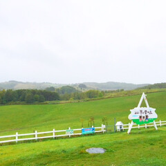 風景/北海道/士別市/羊と雲の丘/ジンギスカン 見渡す限りの草原。
「羊と雲の丘」の町、…(1枚目)
