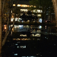 夜の風景/池/灯り/幻想的/電球の色 夜の風景。
池に映るビルの灯り。
昼間の…(1枚目)