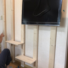 壁かけテレビとキャットステップ/DIY収納 (3枚目)
