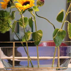 花のある暮らし/花を飾る/花瓶/フラワーベース 毎週ダイニングテーブルに置いているフラワ…(2枚目)