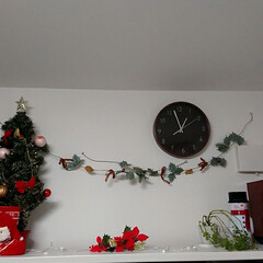 観葉植物/ダイソー/クリスマスブーツ/3COINS/スリコ/クリスマスツリー/... 今年もテレビボードの上をクリスマス仕様に…(1枚目)