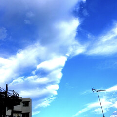 秋分の日/青空/翼の雲 秋分の日に出会った片翼の雲
形のわかりや…(1枚目)
