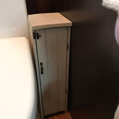 クラフトテープ/隙間家具/100均/DIY/お片付け/住まい/... 聞いてくれますかぁ💦
トイレの女子コーナ…(4枚目)