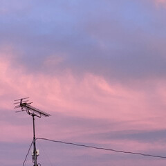 熱中症/夕焼け/梅雨明け こんばんは☽・:*
梅雨明けしました〜…
