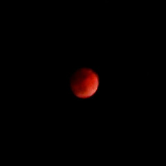 ブルームーン/皆既月食 最後に撮影したのが
真っ赤でびっくり（；…(1枚目)
