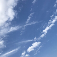 空/青空/雲/冬の空 素晴らしいお天気☀️
雲も綺麗❣️
こん…(2枚目)