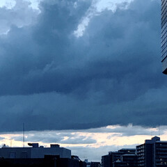 空/雲/夕暮れ 今空
19:00
紺色の雲とうっすらと
…(2枚目)