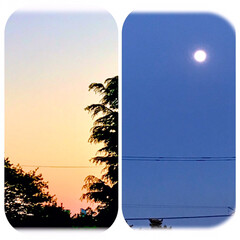 空/夕暮れ/夕焼け/今日の月 今空
18：30
西の空と、東の月
(1枚目)