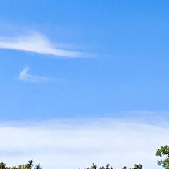 雲/空/暮らし/窓から見える空 今日の空
朝は真っ青な空だったけれど、
…(4枚目)