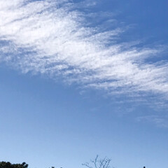 空/青空/雲/冬の空 素晴らしいお天気☀️
雲も綺麗❣️
こん…(1枚目)