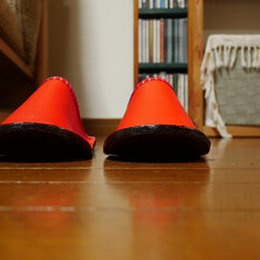 スリッパ/レザークラフト/DIY/お家でもオシャレ 大人用スリッパ

小人用のブーツを作った…(3枚目)