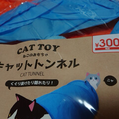 猫おもちゃ/ダイソー/簡単/便利グッズ/猫/購入品/... #DAISO    #ダイソー   様に…(5枚目)