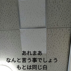 首が回らない/猫の居る暮らし＆多頭飼い/ニャンズ大移動/工事早く終わっておくれ/ニャンズごめんよ〜/キッチン 色んな意味で、首が回らな〜い😵
むち打ち…(10枚目)