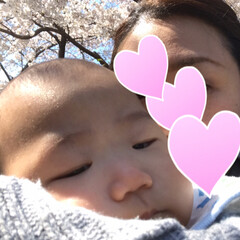 赤ちゃん/桜/春の一枚 桜🌸🌸綺麗でした‼️

昨日 実家の近く…(5枚目)