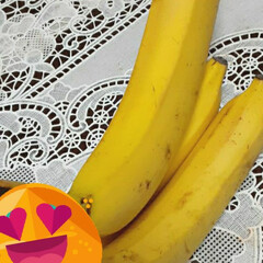 バナナ/果物❔/野菜 バナナの木と思っていた部分は、

🌟実は…(2枚目)