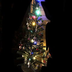 ダイソー/セリア/ハンドメイド/クリスマス/クリスマスツリー 今年のクリスマスツリーとクリスマスリース…(2枚目)