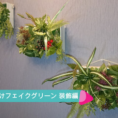 フェイクグリーン/ウォールグリーン/観葉植物フレーム/ウォールアート/壁掛けグリーン/壁掛け観葉植物/... 100均一のDAISO（ダイソー）の材料…(1枚目)