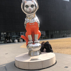 「大阪中之島美術館の外に猫
ロボット、（宇…」(1枚目)