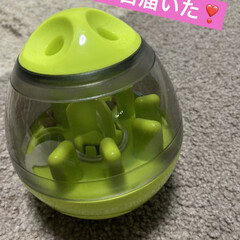 犬のいる生活/癒し/おやつ/お家時間/パグさん ポイントが溜まってる❣️
まろんさんのご…