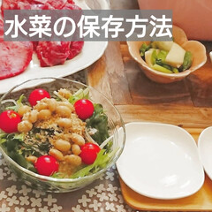 保存/保存方法/水菜/食材長持ち/生活の知恵/おうちごはん/... 🔷🔸水菜の保存🔸🔷
最近高い水菜が10…