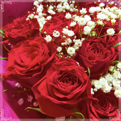 30本の薔薇/30年/真珠婚/結婚記念日/薔薇とカスミ草/薔薇の花束/... 昨日は、30回目の結婚記念日💍でした。
…(2枚目)