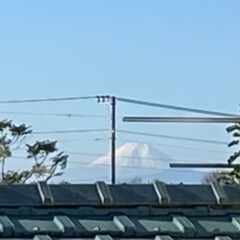家から見える風景/富士山 今日の富士山🗻

この前、ウチからも富士…(1枚目)