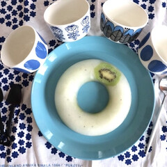 marimekko KESTIT 250mL ボウル ブルー 34 | marimekko(皿)を使ったクチコミ「おやつに簡単にカルピスシャーベットを💙
…」(1枚目)