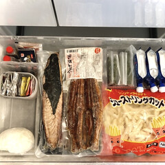 ロッテ クーリッシュ バニラ 24入 | ロッテ(アイスクリーム、ソフトクリーム)を使ったクチコミ「冷凍庫収納(大きな引き出しの上のトレー)…」(3枚目)