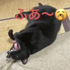 「まいどお馴染みのにこくんのお化け音頭👻
…」(4枚目)