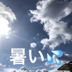 空/購入品 早朝は曇り空かなぁと思ってたらこんな青空…